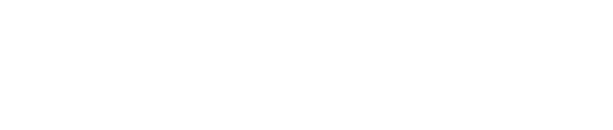 Highly Dense Web Structure Coating