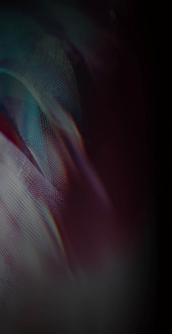 Good quality softwood 2; Shutterstock ID 343412996;     :          ;    :    ;     (      ): 