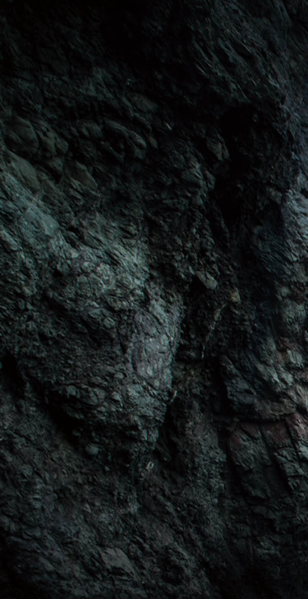 Good quality softwood 2; Shutterstock ID 343412996;     :          ;    :    ;     (      ): 