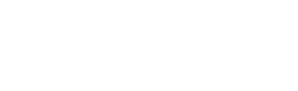 INDEX Wood 49color